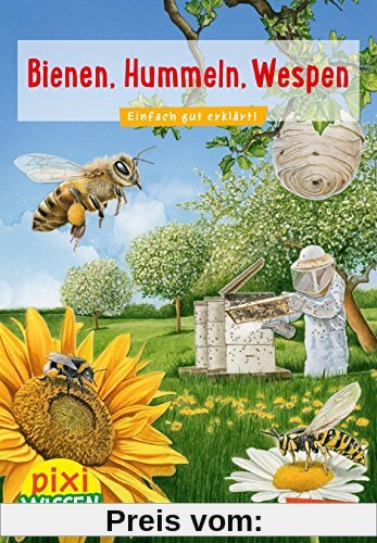Bienen, Hummeln, Wespen: Einfach gut erklärt (Pixi Wissen, Band 104)